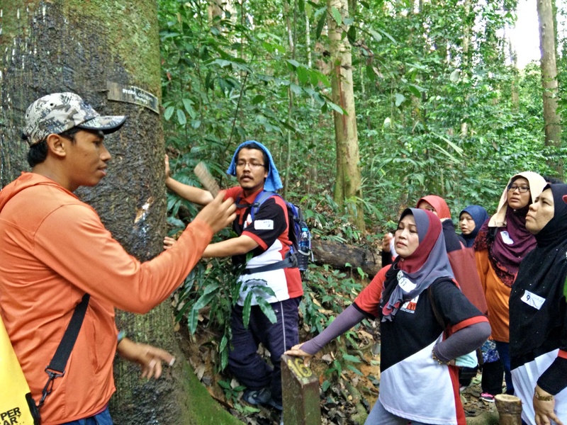 1005 IMG20151107151915